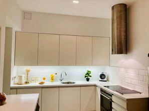Private kitchen - Royal flat in the heart of the city with a unique soul. (Bratislava)