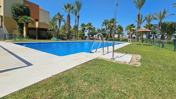 Une piscine à l’eau d’un bleu cristallin, entourée d’une pelouse bien entretenue et de palmiers.