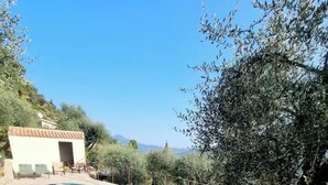 Una piscina con bordo curvo, circondata da un patio con arredi da esterno, tra cui un divano e due poltrone.