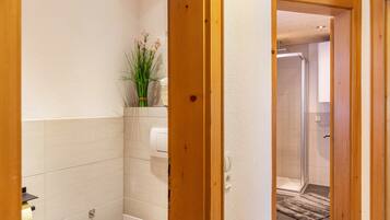 A modern bathroom with a shower, toilet, and a small plant on the wall.