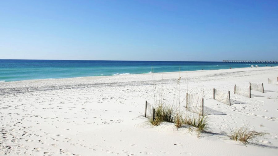 Emerald Isle #1108 - Emerald Dreams