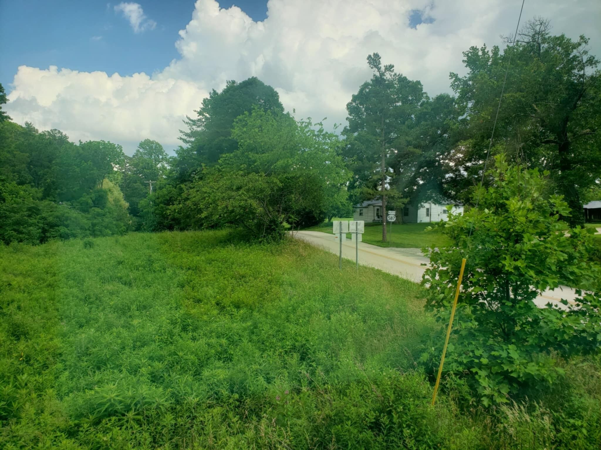 Une route de campagne avec une maison blanche et une boîte aux lettres.