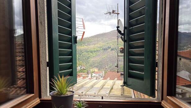 Ein Fenster mit grünen Fensterläden, einem Blumentopf und Blick auf einen Hügel mit Gebäuden.