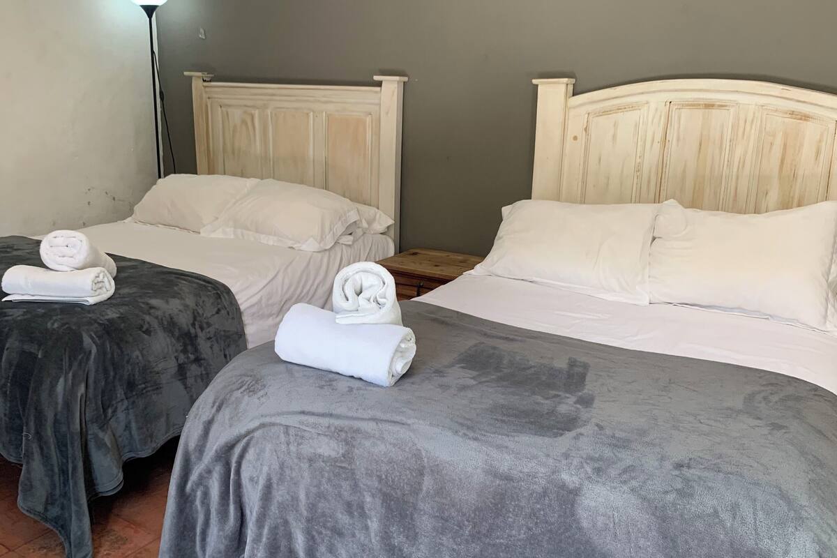 Deux lits jumeaux avec une literie grise et blanche, une table de chevet et une lampe.