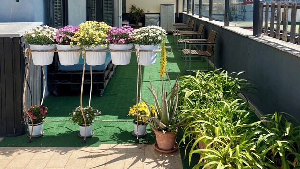 Un espace extérieur abrité, agrémenté de plantes en pot et de chaises, un bâtiment blanc avec des volets, et une vue sur une colline.