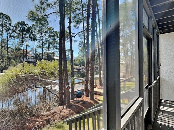 A view from a balcony overlooking a pond with trees and a barbecue grill. - Easy on Eastern Lake by Southern Vacation Rentals (Santa Rosa Beach)