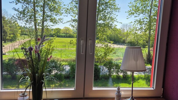 Ein Fenster mit Blick auf eine grüne Landschaft, eine Lampe und eine Vase mit Blumen.