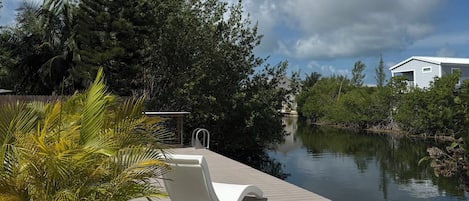A wooden dock extending into a calm body of water, surrounded by lush greenery and a clear sky.