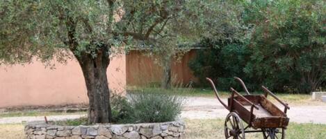 Terrein van de accommodatie