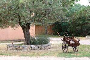 Terrein van de accommodatie