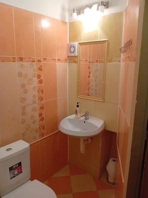 Serviettes fournies, savon, papier toilette