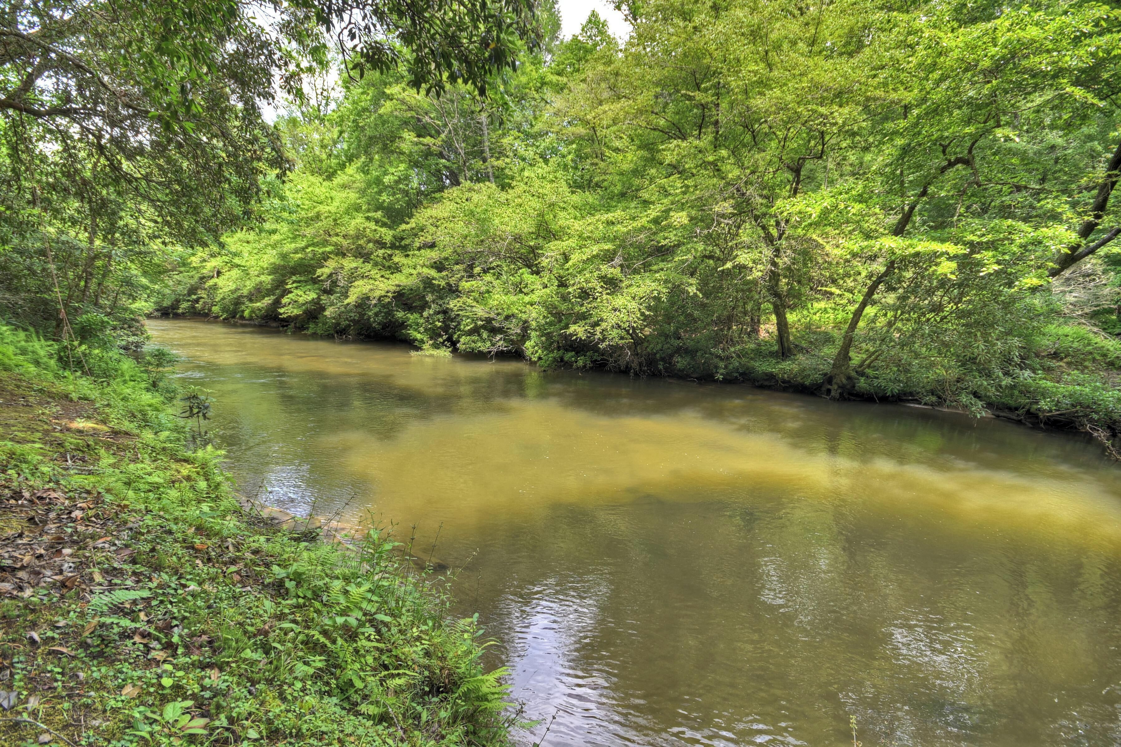 A river flowing through a densely wooded area with lush green foliage.