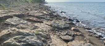 Charming 1-bedroom cabin in Port Hope-PET FRIENDLY