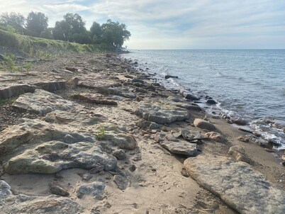 Charming 1-bedroom cabin in Port Hope-PET FRIENDLY