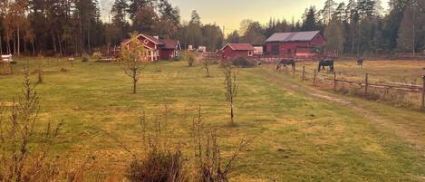A rural landscape with a barn, open fields, and a clear sky.