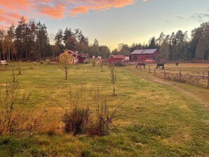 Miscellaneous - Cottage in historic Mariefred (Södermanlands län)