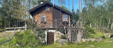 Exteriör