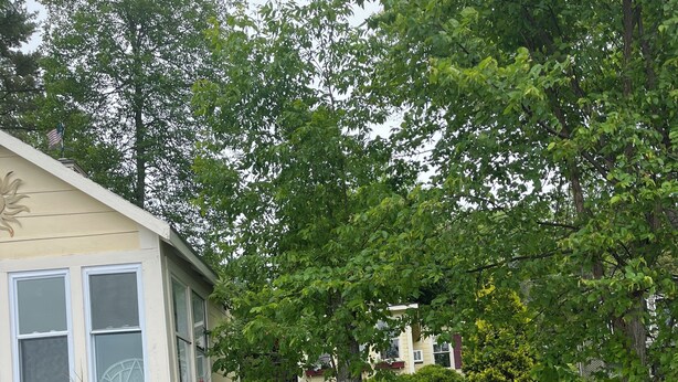 Eine Holzstele führt zu einem Haus an einem Gewässer, mit einer Flagge auf dem Dach und einem Stoppschild im Hintergrund.