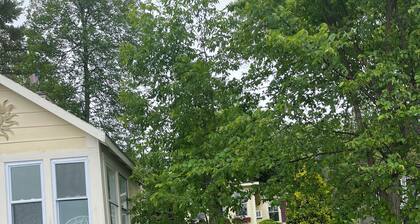 Cozy 500sf cabin with private dock