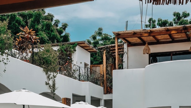 Uma área de piscina com espreguiçadeiras e guarda-sóis, cercada por plantas em vasos e um edifício branco.