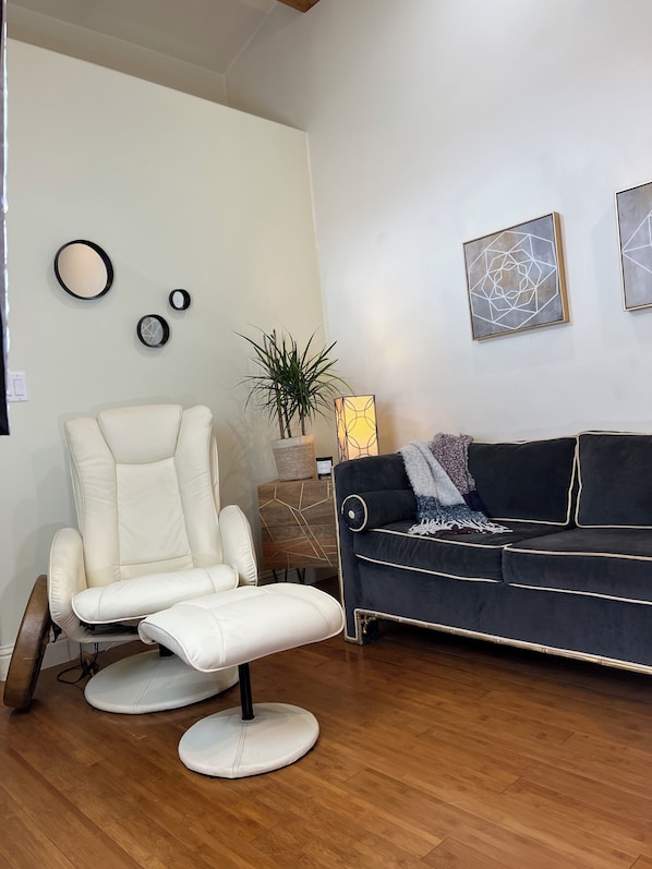 Smart TV, fireplace, books