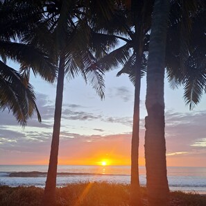 Beach nearby, black sand