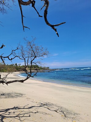 Beach nearby, black sand