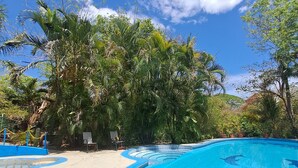 A swimming pool with a blue tiled edge, surrounded by lush greenery and trees. - Georgi, Junquillal (Veintisiete de Abril)