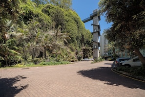 A paved road with parked cars, lush greenery, and a building with a modern design.