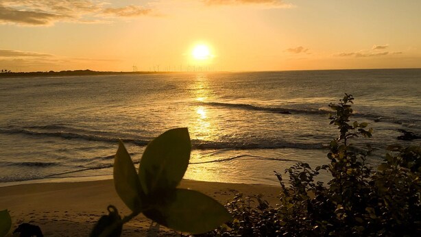 A beach with the sun setting over the ocean, waves gently lapping at the shore, and a silhouette of wind turbines in the distance. - Pousada Oasis dos Ventos (Touros)
