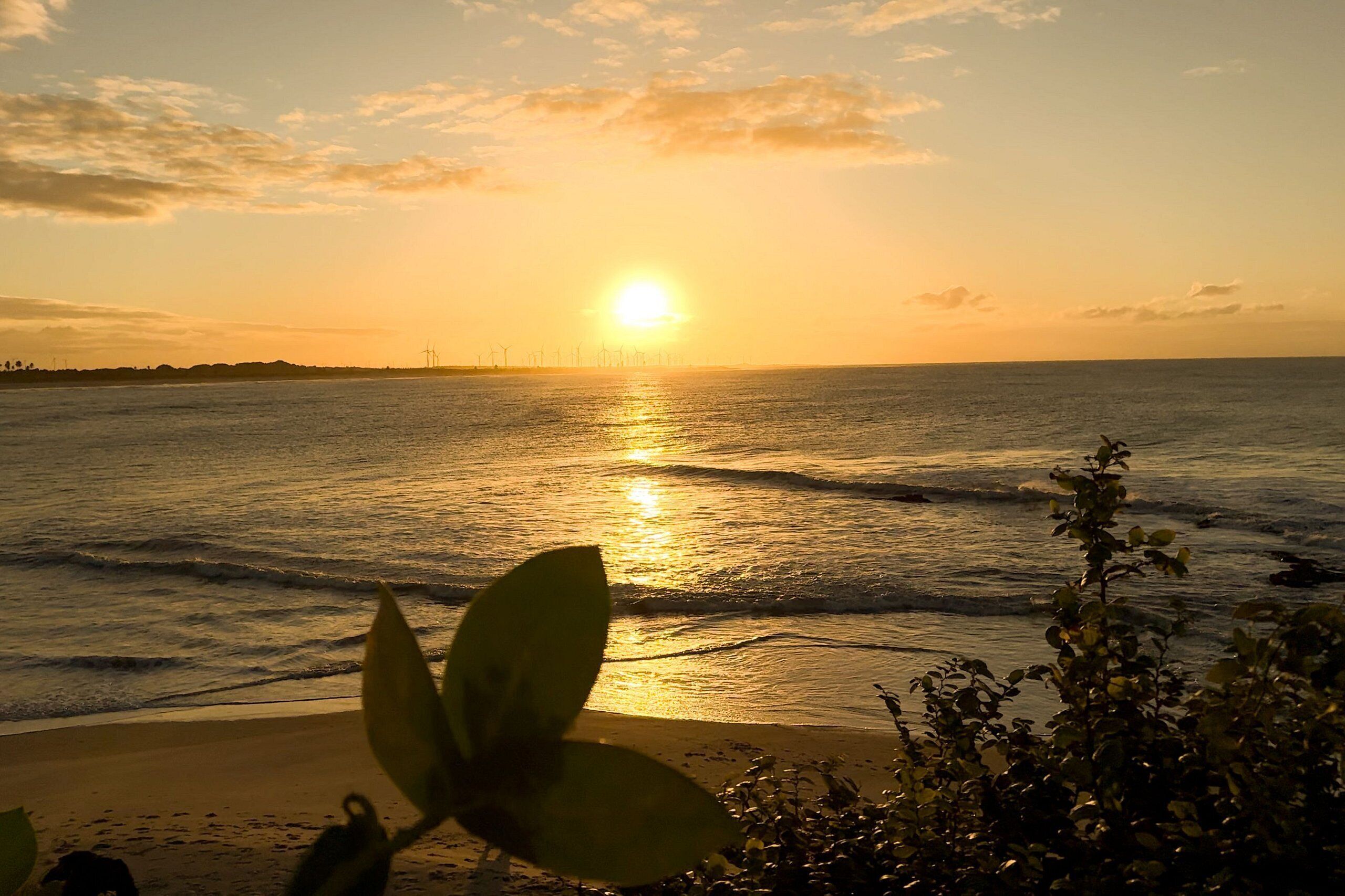 Beach nearby, white sand