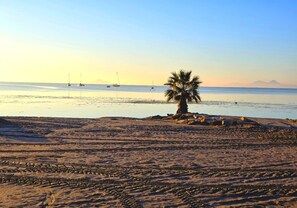 A beach with a palm tree, rocky terrain, and boats in the water. -  Welcome to Costa Narejos 3 – Your Relaxing Beachside Escape in Los Alcázares (Los Alcazares)
