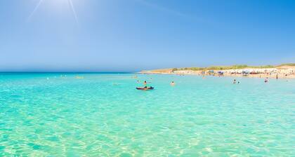 Bed and Breakfast 'Tallyho Elleboro' with Shared Terrace, Wi-Fi and Air Conditioning