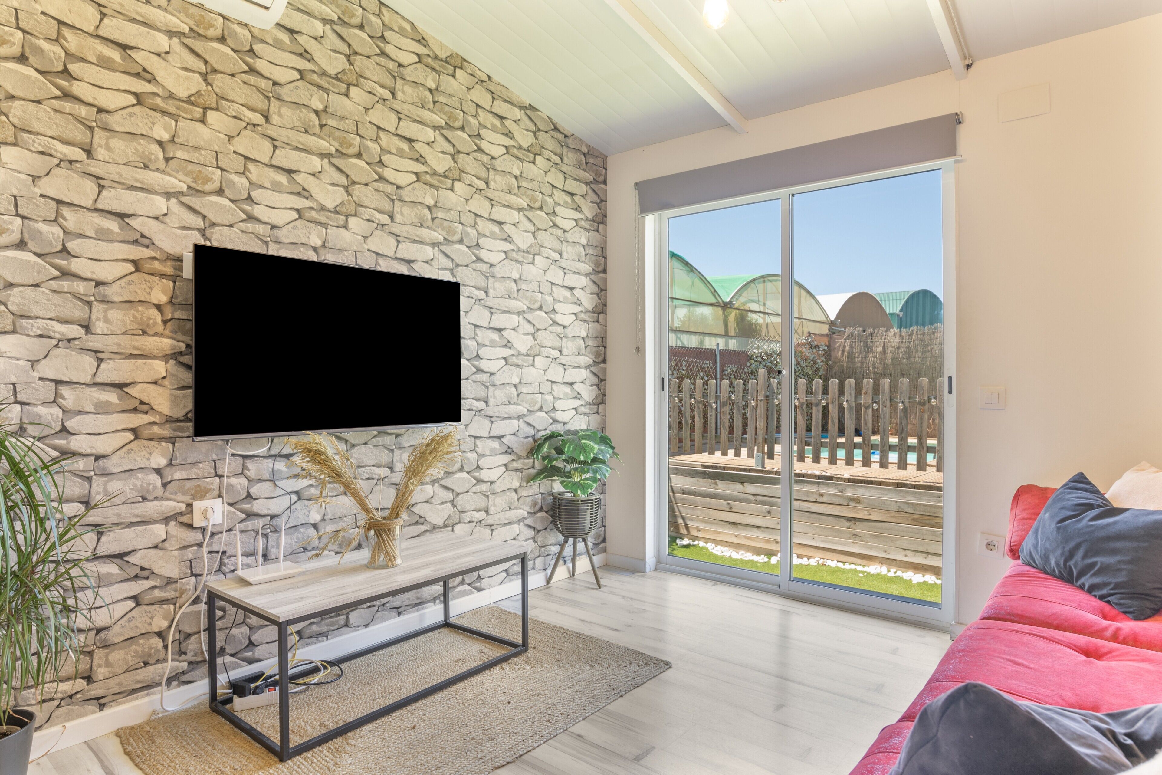 TV