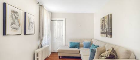 TV connectée, cheminée, livres