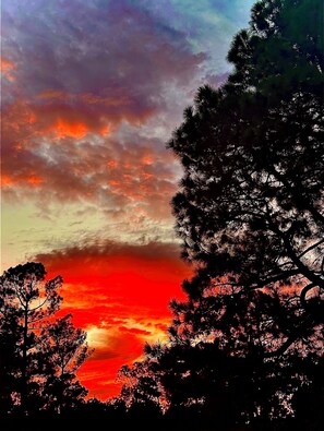Un atardecer con un cielo vibrante y siluetas de árboles.