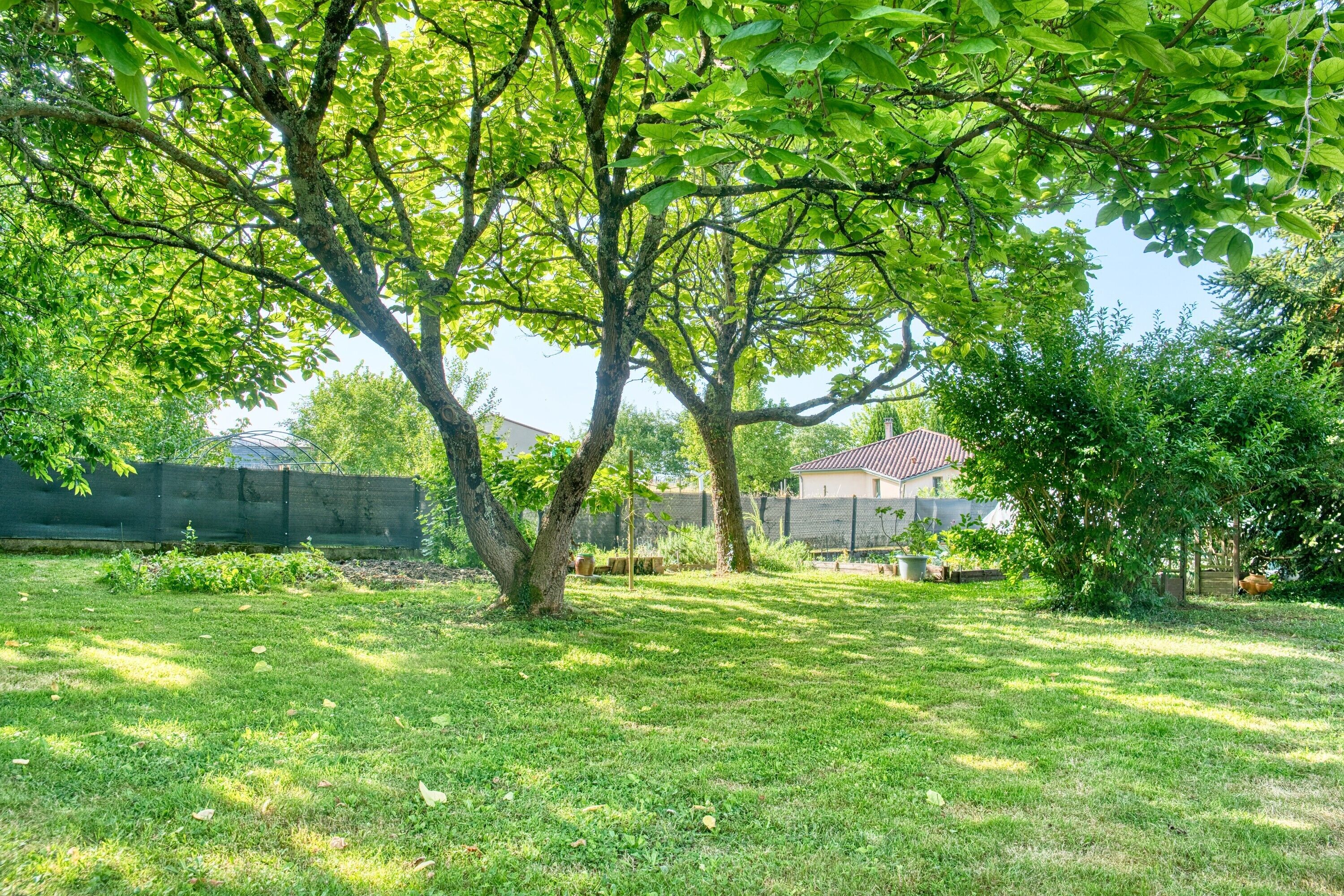 Un jardin avec une pelouse, des arbres et une maison en arrière-plan.
