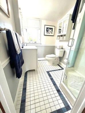 Shower, towels, soap, toilet paper