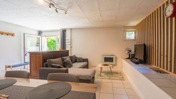 TV, fireplace, video games, DVD player