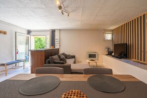 TV, fireplace, video games, DVD player