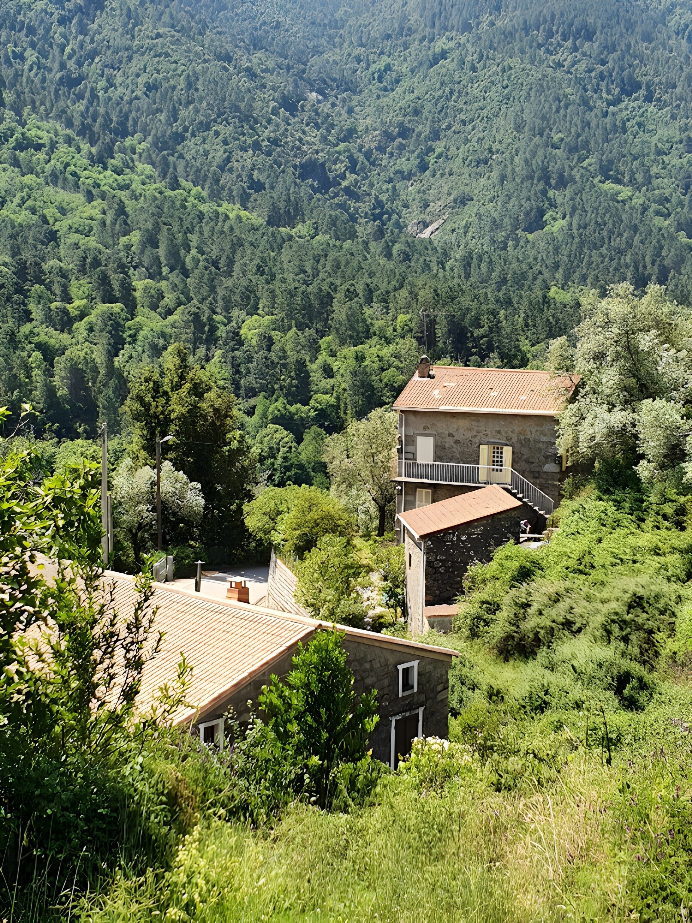 A hillside property with a stone building featuring a balcony, surrounded by dense forest.