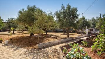 A garden with trees, a paved walkway, and raised garden beds.
