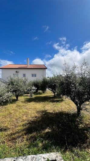 A white building with a red roof, surrounded by olive trees and grass.