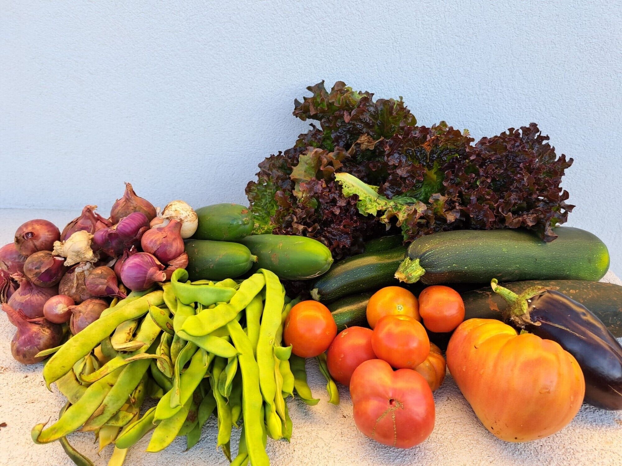 Eine Auswahl an Gemüse, darunter Zwiebeln, grüne Bohnen, Tomaten, Gurken und Auberginen.