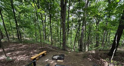 Charming A-frame cabin set in the woods overlooking deep wooded ravines.
