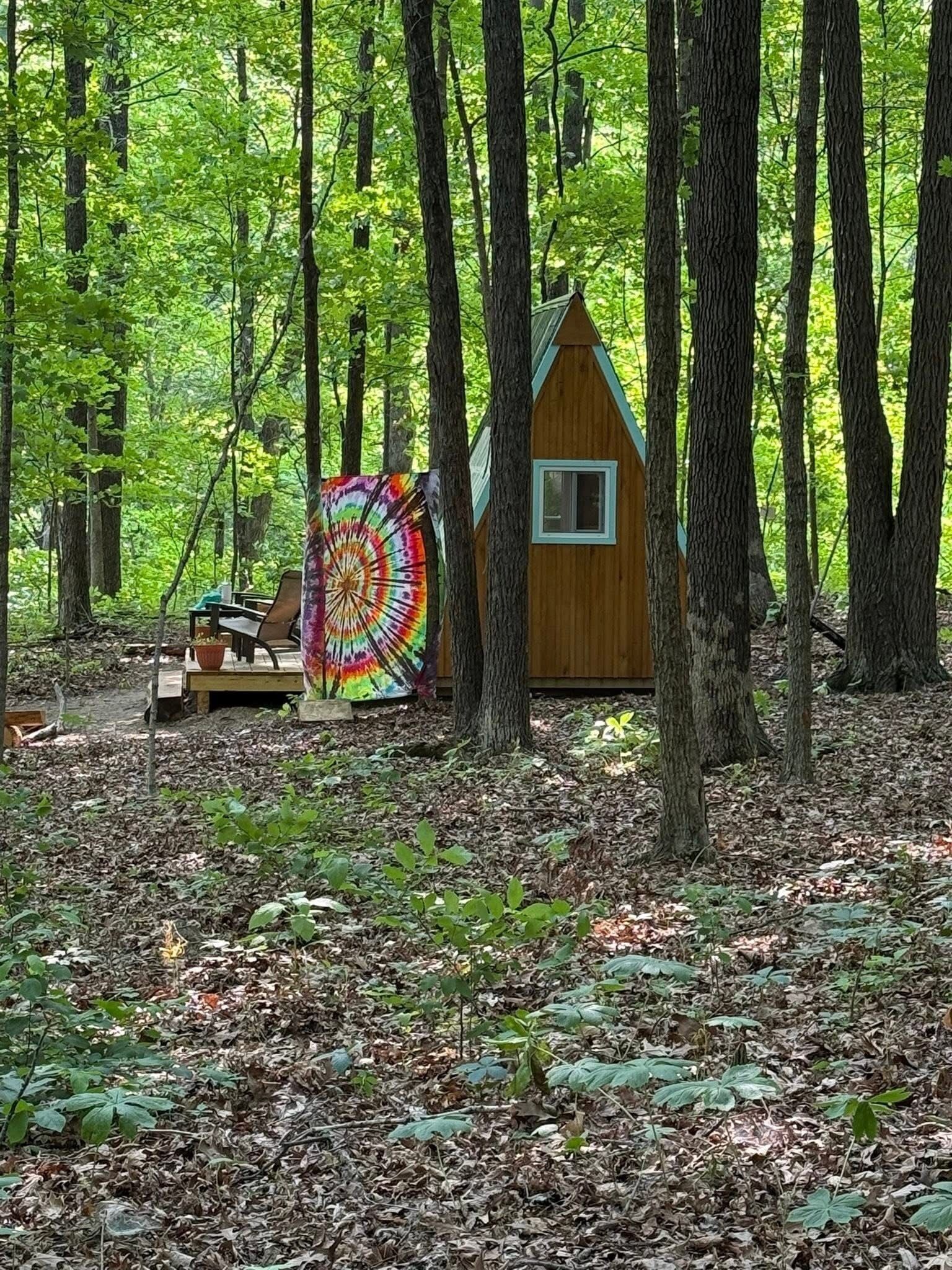 A wooden cabin in a forest with a colorful circular artwork on a bench.