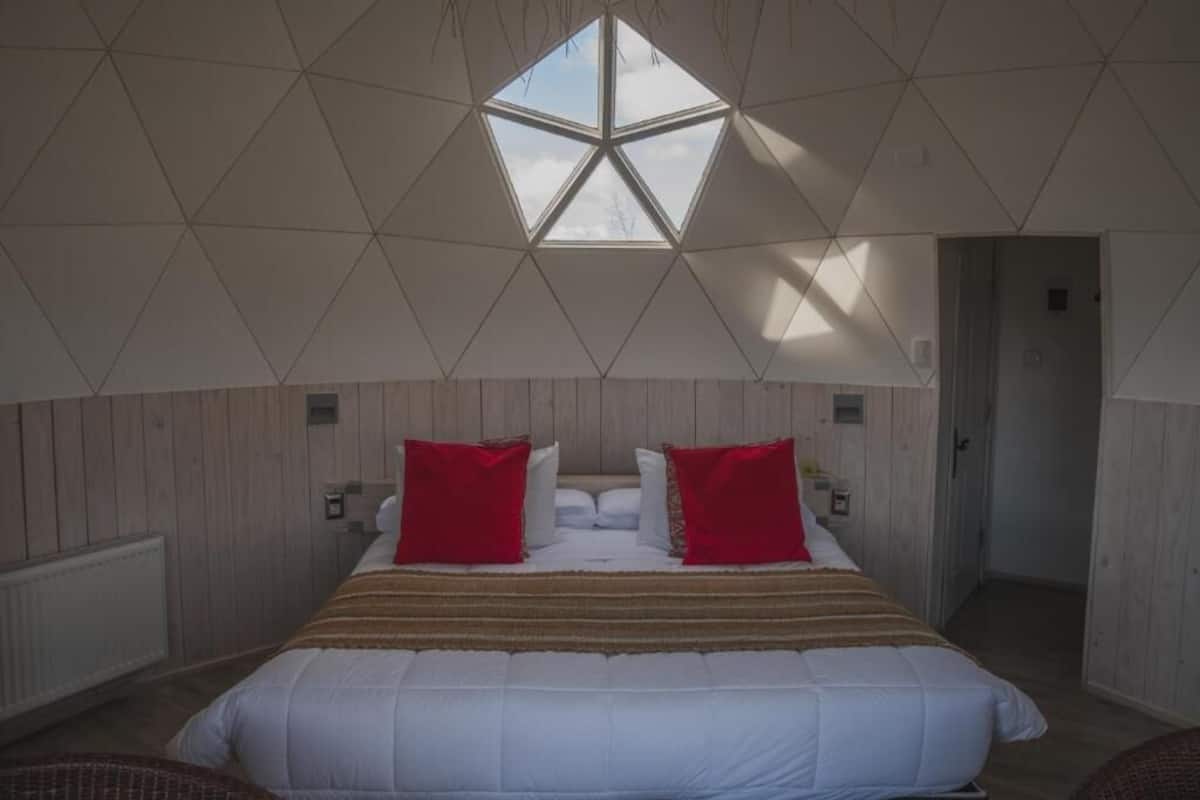 Cabin, 1 King Bed | Free WiFi