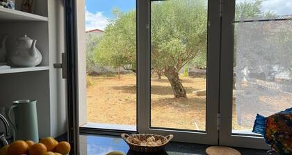 Chambre 'Santo Carlo Acutis' avec Terrasse partagée, Jardin partagé et Wi-Fi