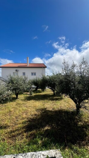 Un bâtiment blanc avec un toit rouge, entouré d’oliviers et d’herbe.