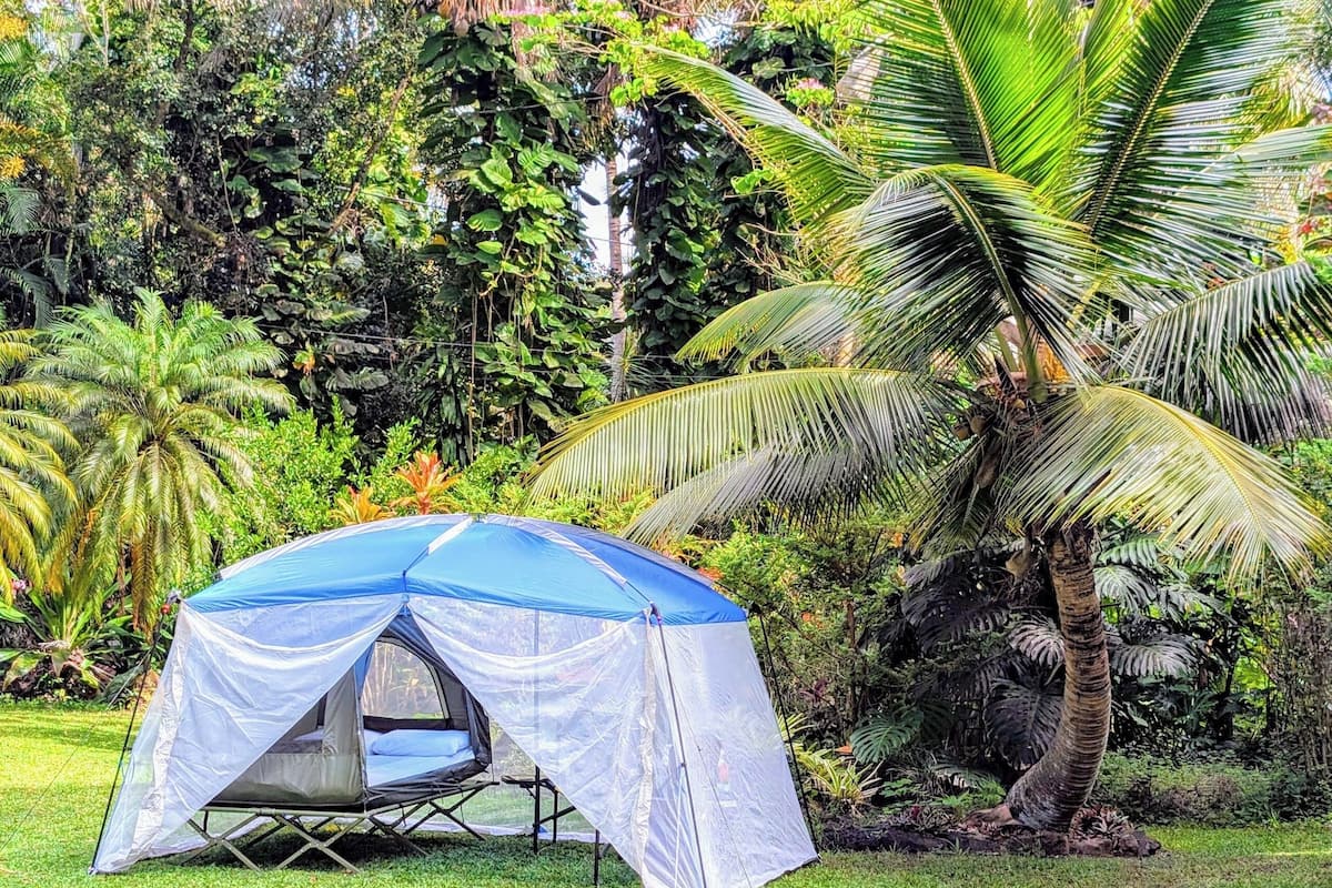 Tent, Garden View | Free WiFi, bed sheets